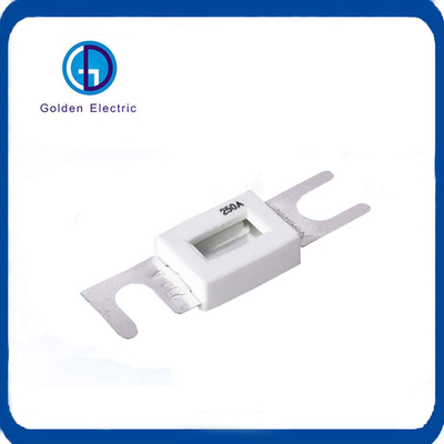 맞춤형 자동차 퓨즈 및 퓨즈 홀더 48VDC 125VAC 100A 175A 225A 355A 450A 700A