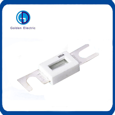 맞춤형 자동차 퓨즈 및 퓨즈 홀더 48VDC 125VAC 100A 175A 225A 355A 450A 700A