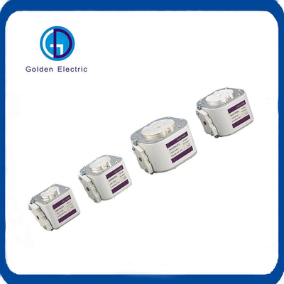 30A 63A 80A 100A 160A 200A 225A 315A 400A 500A 630A 융합된 정사각형 볼트형 AC/DC 퓨즈 링크 전기 퓨즈