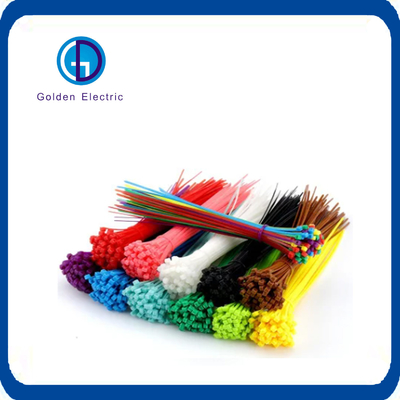 2.5*100mm Özel Boyutlu Plastik Çok Renkli Naylon Kablo Kravatları 1 Parça Min. Sipariş